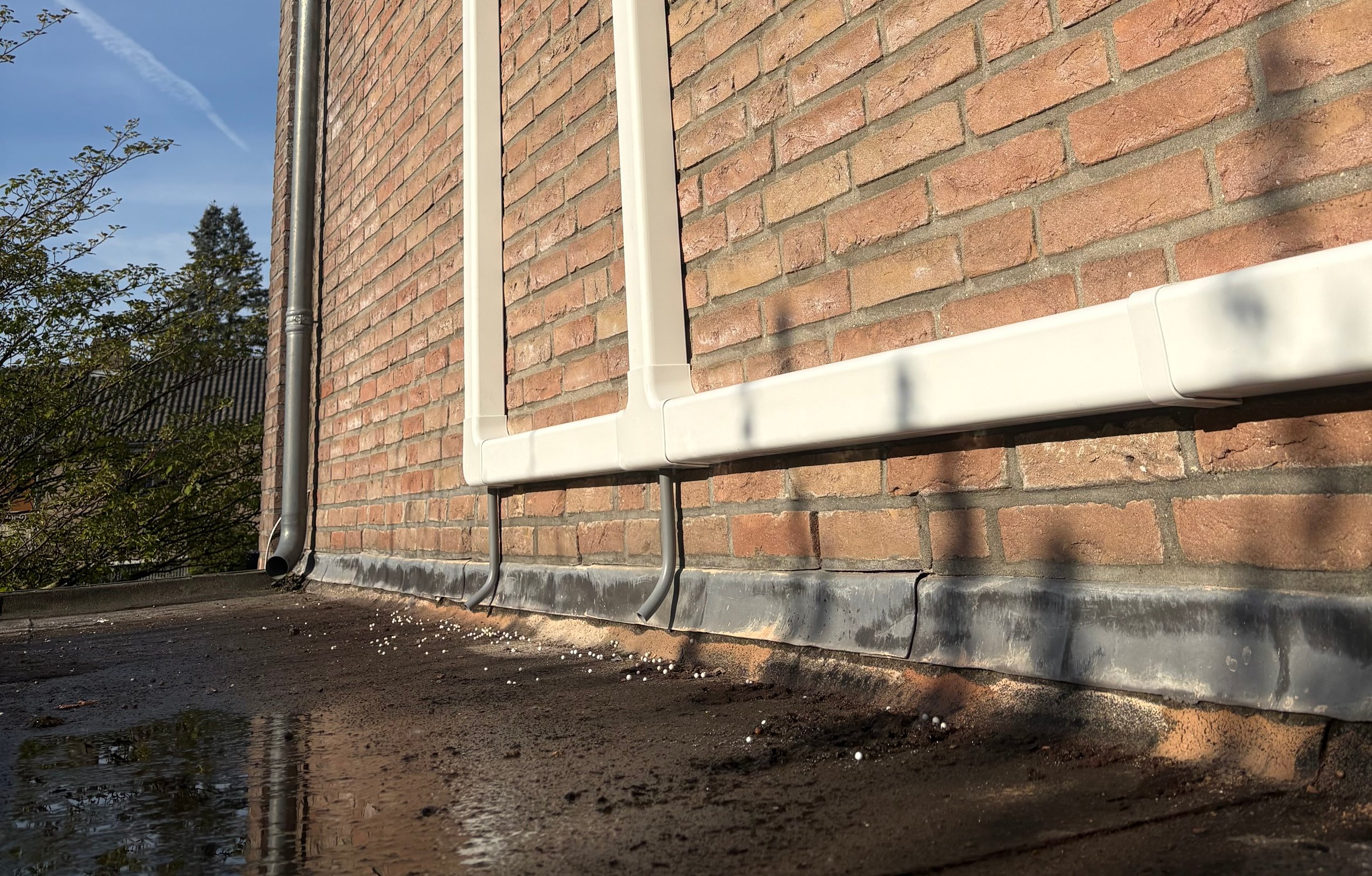 Brick building exterior with white window trim