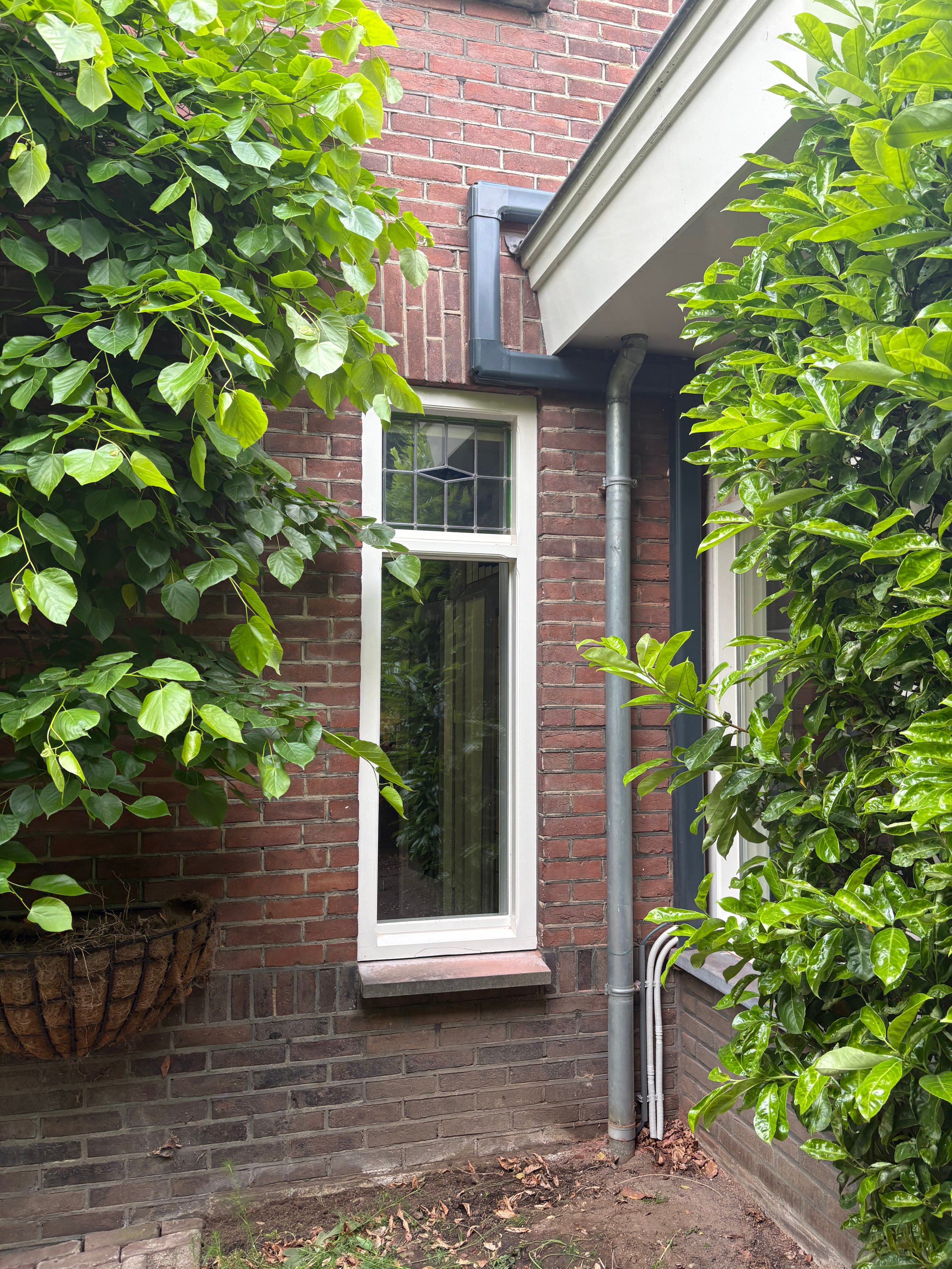 Modern white-framed door on red brick building surrounded by green climbing ivy and potted plants